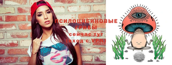 дурь Алексеевка
