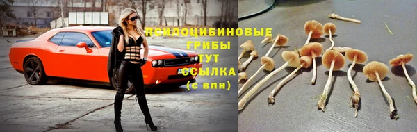 мяу мяу кристалл Алзамай