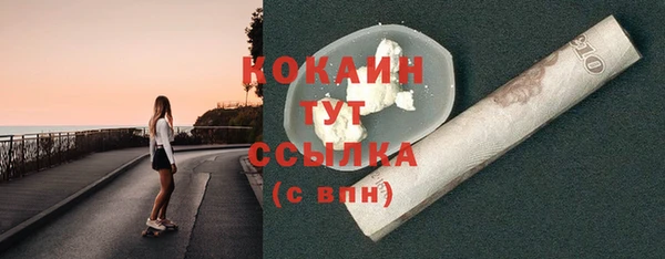 дурь Осташков
