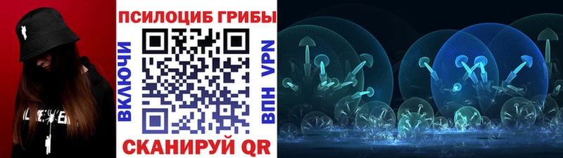 купить наркотики сайты  omg   Псилоцибиновые грибы прущие грибы  Сунжа 