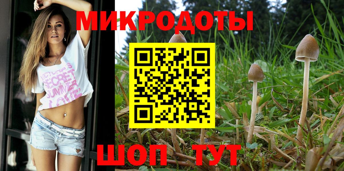 Галлюциногенные грибы мицелий Сунжа