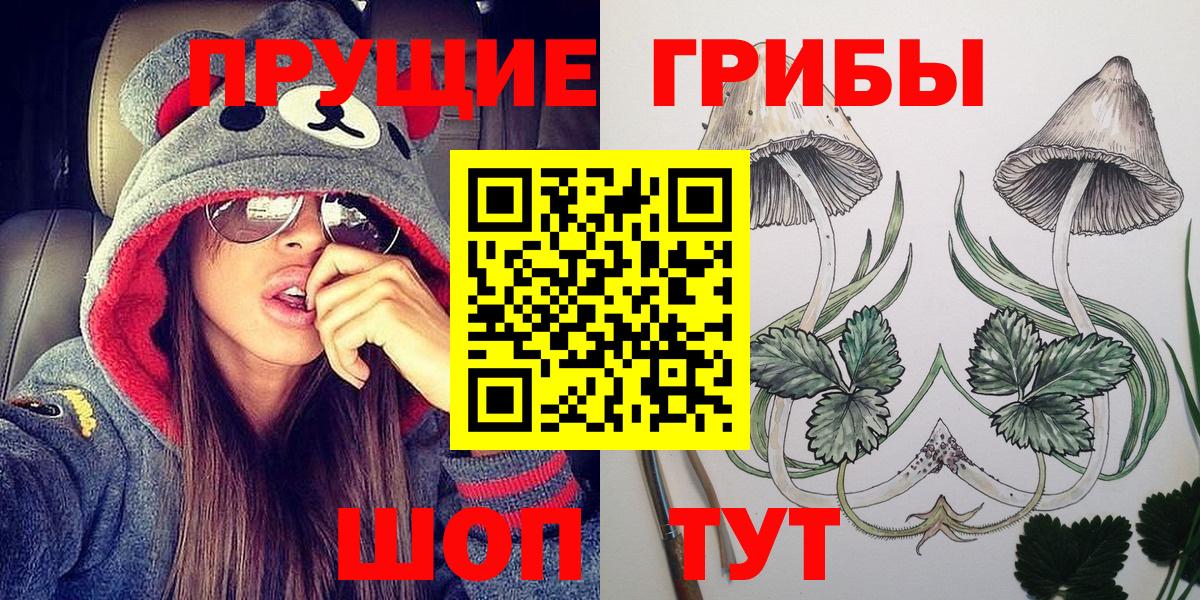 Галлюциногенные грибы Magic Shrooms  Вход с VPN  Галлюциногенные грибы GOLDEN TEACHER  Сунжа 