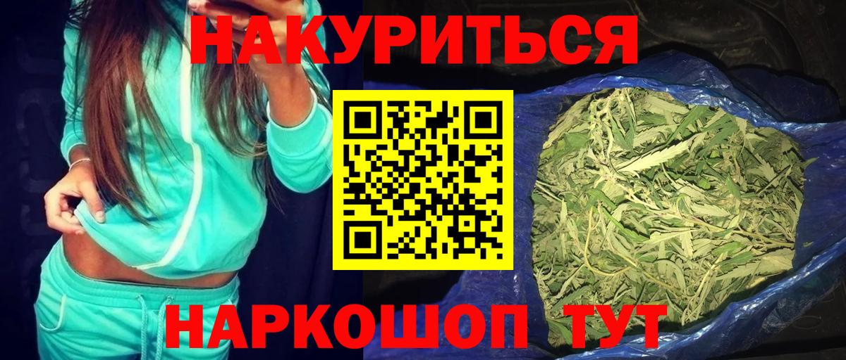 Бошки Шишки сатива Сунжа